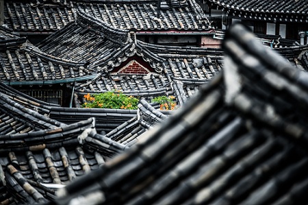 최도원 / 수줍은 꽃