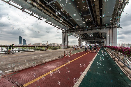 박윤준 / 축제의 다리