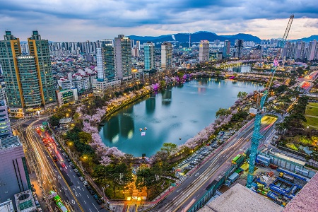 이승호 / 석촌호수의 벚꽃야경