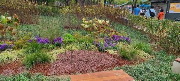 진입광장 초화원