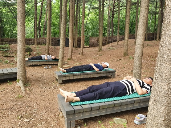 서울형 치유의 숲길 사례(서울대공원)