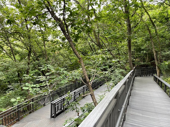 근교산 등산로 사례(봉화산 무장애숲길)