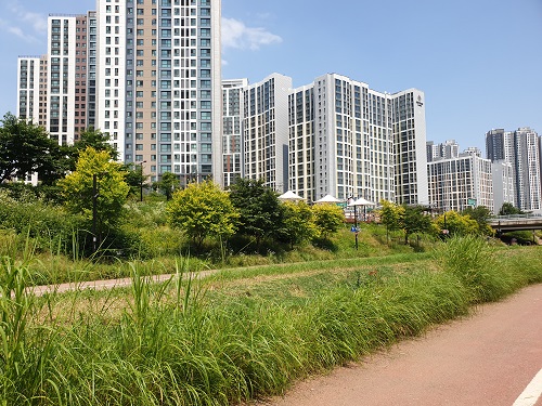 하천 생태숲길(강동구 고덕천)