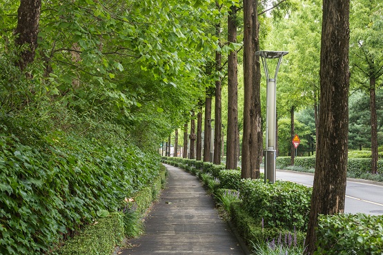 생활권 가로숲길 사례(강남구 양재천 녹음길)