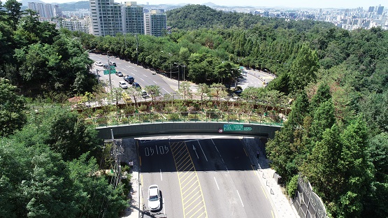 단절된 녹지축 사례(관악구 호암로)