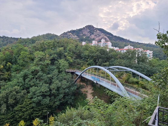 단절된 녹지축 사례(서대문구 무악재)