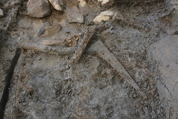 2020년 집수지 출토 쟁기