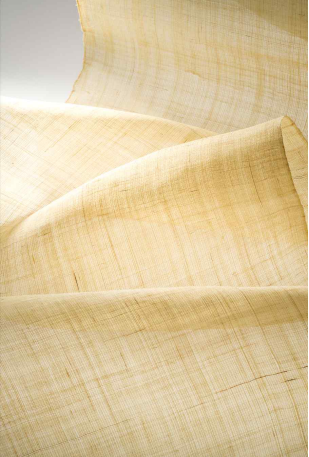 김나연 作 - 생모시(2022) 모시 | 길이 1500cm, 폭 32cm