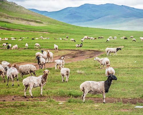 Hustai National Park (Source: TripAdvisor)