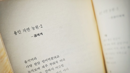 시인 김소연이 대학 시절에 쓴 시/서울책보고=사진