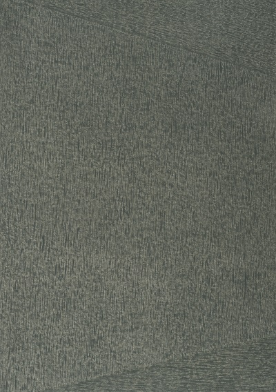 박기원_넓이65_2008년_한지에 유채_214x150cm/서울식물원=그림