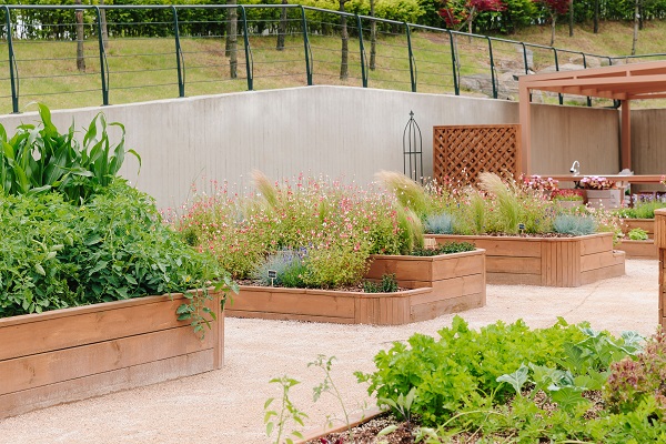 어린이정원학교 모두 텃밭/서울식물원=그림