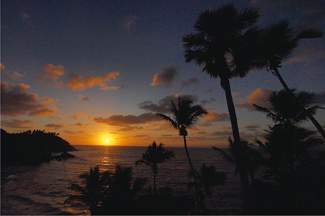 New year sunrise in Samaná Bay, Dominican Republic, where baby whales are born in the North Atlantic (Photo: Federico Alberto)