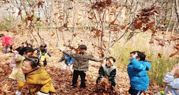 마포구 상암산 유아숲체험원(낙엽비)/서울시=사진