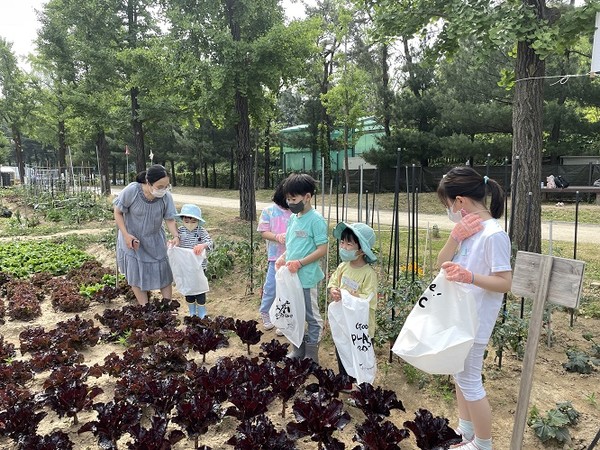서울어린이대공원 생태체험 프로그램/서울시=사진