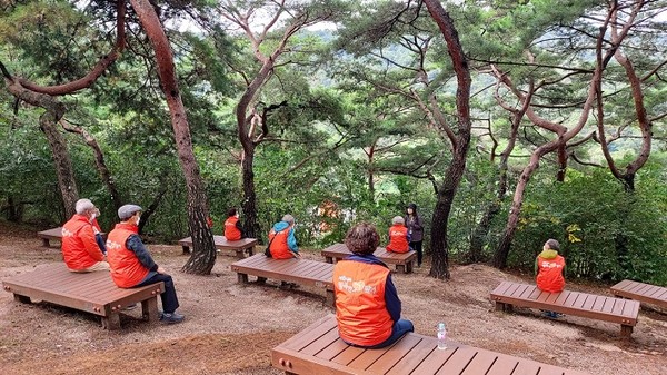 소나무힐링숲/서울시=사진