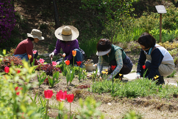가드닝 자원봉사 프로그램-서울숲/서울시=사진