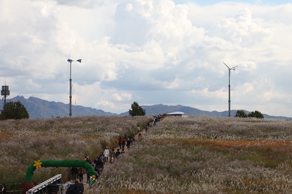 월드컴공원 억세축제/서울시=사진