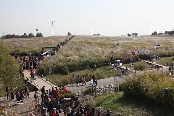 월드컴공원 억세축제/서울시=사진