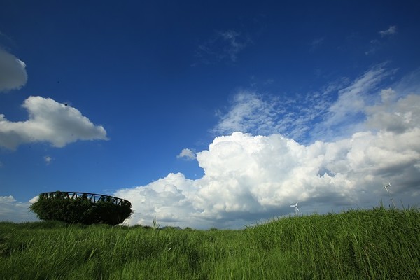 월드컴공원 억세축제/서울시=사진