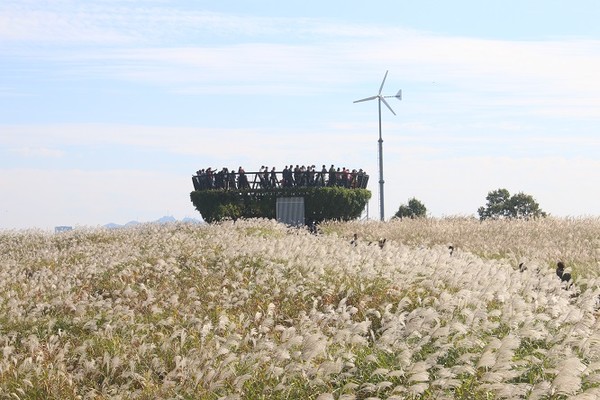 월드컴공원 억세축제/서울시=사진