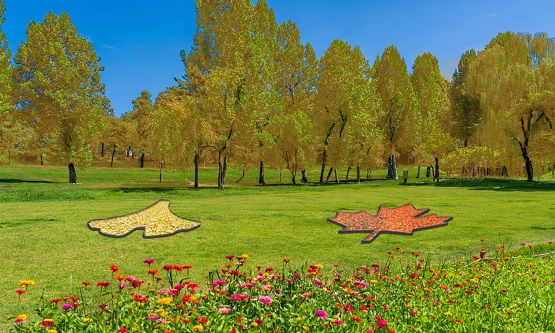 낙엽포토존/서울어린이대공원=사진