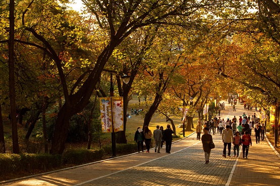 행사/서울어린이대공원=사진