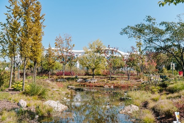 서울식물원 가을풍경/서울식물원=사진