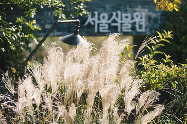 서울식물원 가을풍경/서울식물원=사진