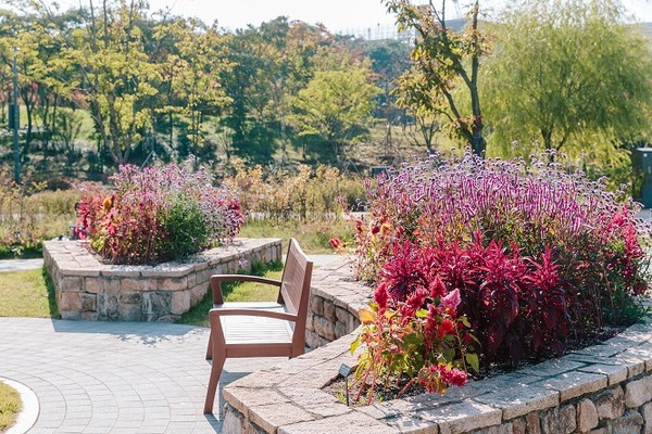서울식물원 가을풍경/서울식물원=사진