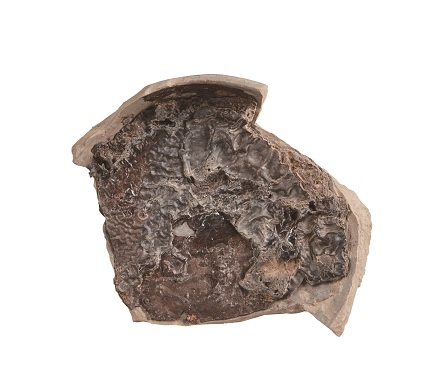 옻담긴그릇뚜껑조각(蓋杯片)/한성백제박물관=사진