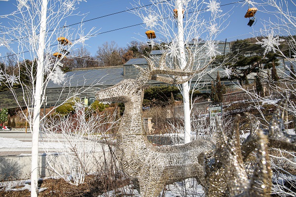 꽃의언덕 사슴모습/서울대공원=사진