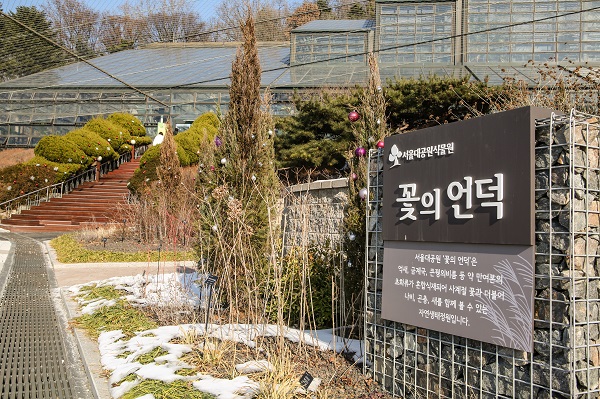 꽃의언덕/서울대공원=사진