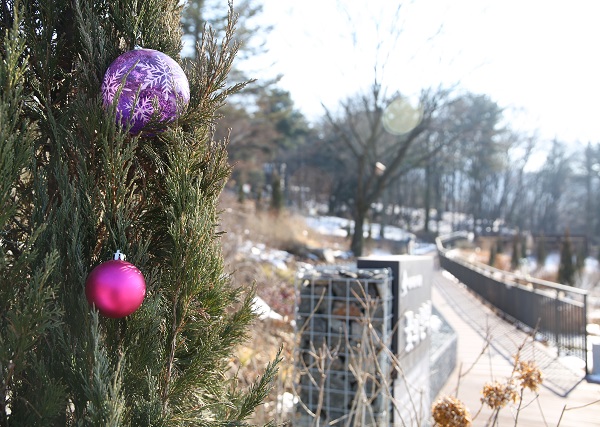 꽃의언덕/서울대공원=사진