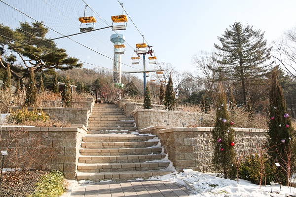 꽃의언덕/서울대공원=사진