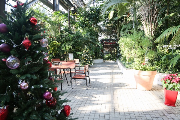 식물원내부/서울대공원=사진