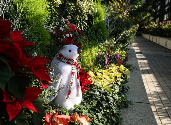 펭귄나라/서울대공원=사진