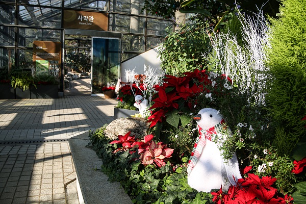 펭귄나라/서울대공원=사진