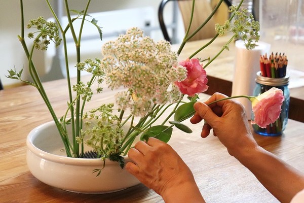 영춘화 꽃꽃이/서울시=사진