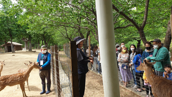 안녕하세요 두시의 데이트 꽃사슴입니다/서울시=사진