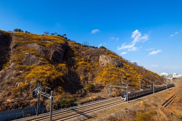 서울둘레길 응봉산/서울시=사진