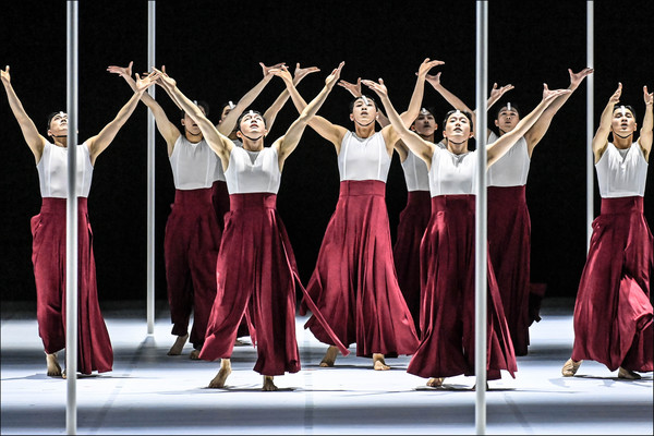 춤꽃 (사진제공=세종문화회관)