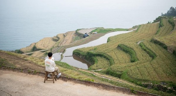 문화재청=이규태 작가 그림 작업 사진