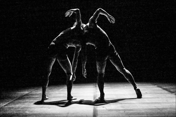 Sync Next 23_몸으로 몸한다 (사진제공=세종문화회관)