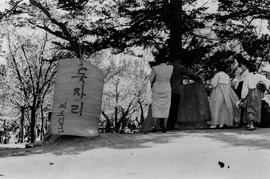 창경궁 벚꽃놀이 돗자리 세놓음(1954)/서울역사박물관=사진