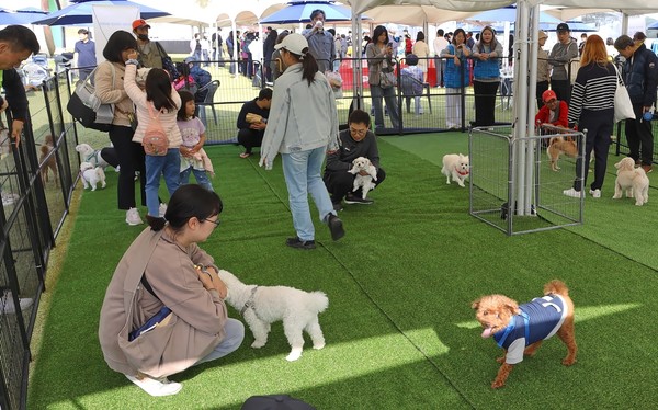 지난해 10월 개최된 ‘반려동물의 날 축제’ 모습 (사진제공=금천구청)