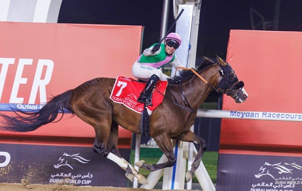 두바이월드컵 우승마 로렐리버의 결승선 통과 장면 (사진출처=DRC홈페이지)