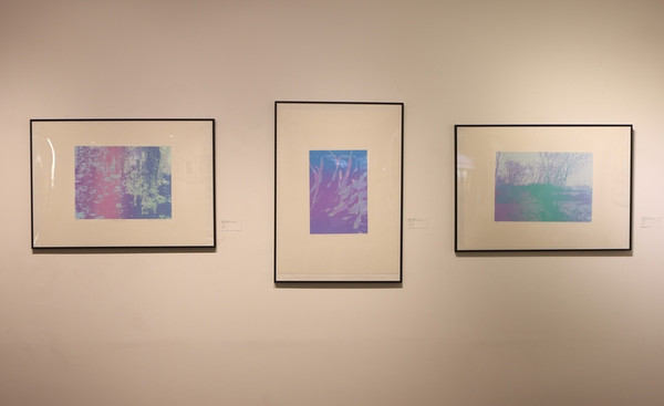 레노어 R.S. 림 작가 작품 (사진=주한필리핀대사관)