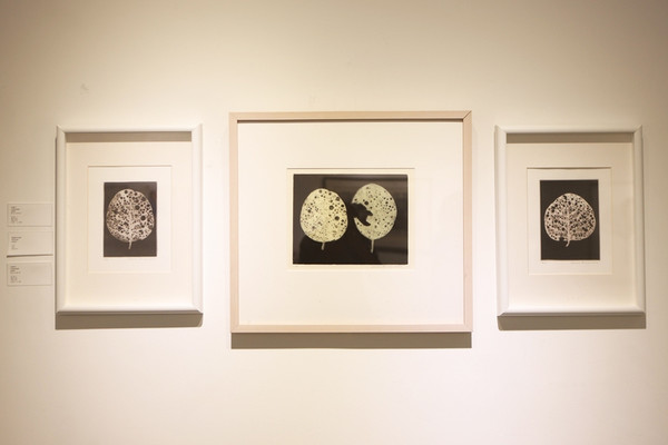 레노어 R.S. 림 작가 작품 (사진=주한필리핀대사관)