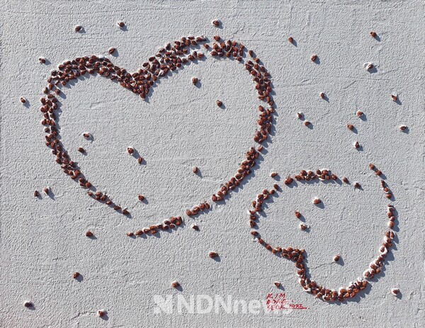 김동석 작품-내가 네가 되고 네가 내가 되는게 사랑이야 [사진=엔디엔뉴스]